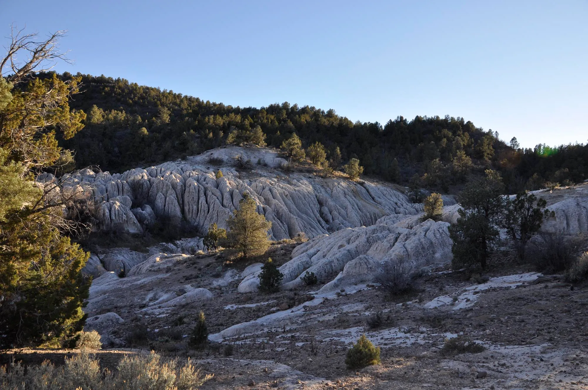 Beaver Dam Campground