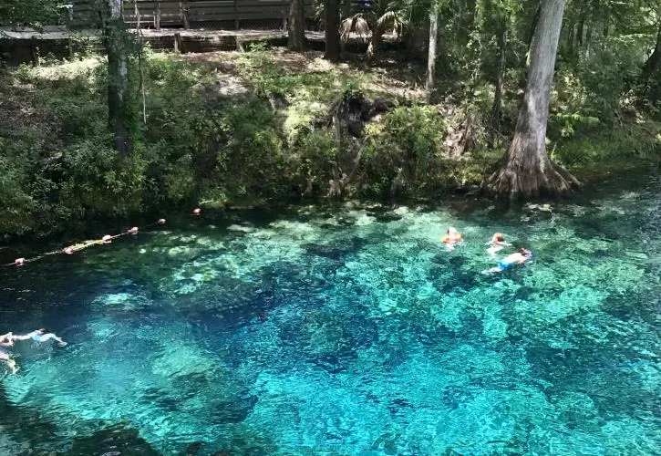 Fanning Springs State Park Campground 2