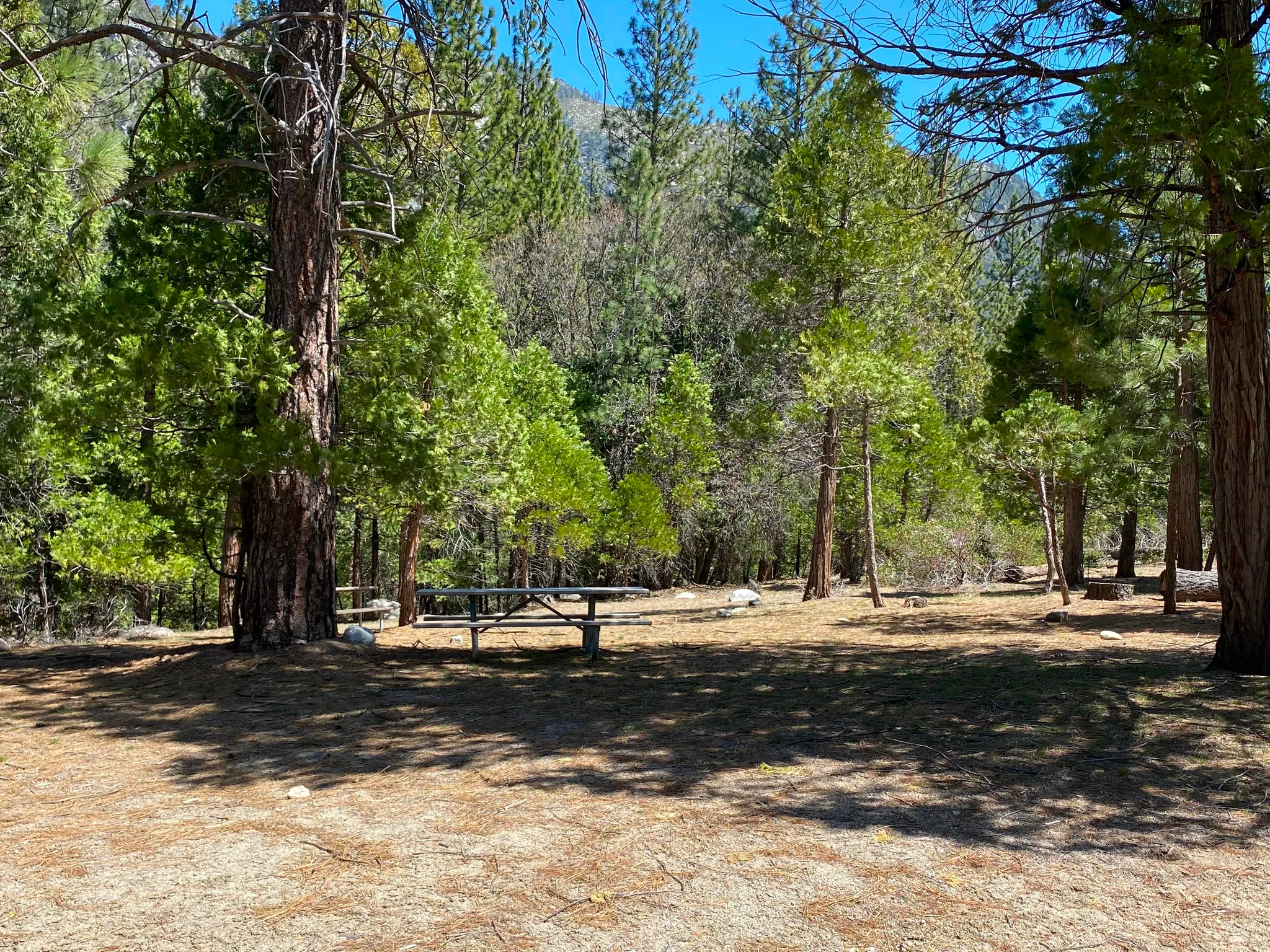 Canyon View Group Sites