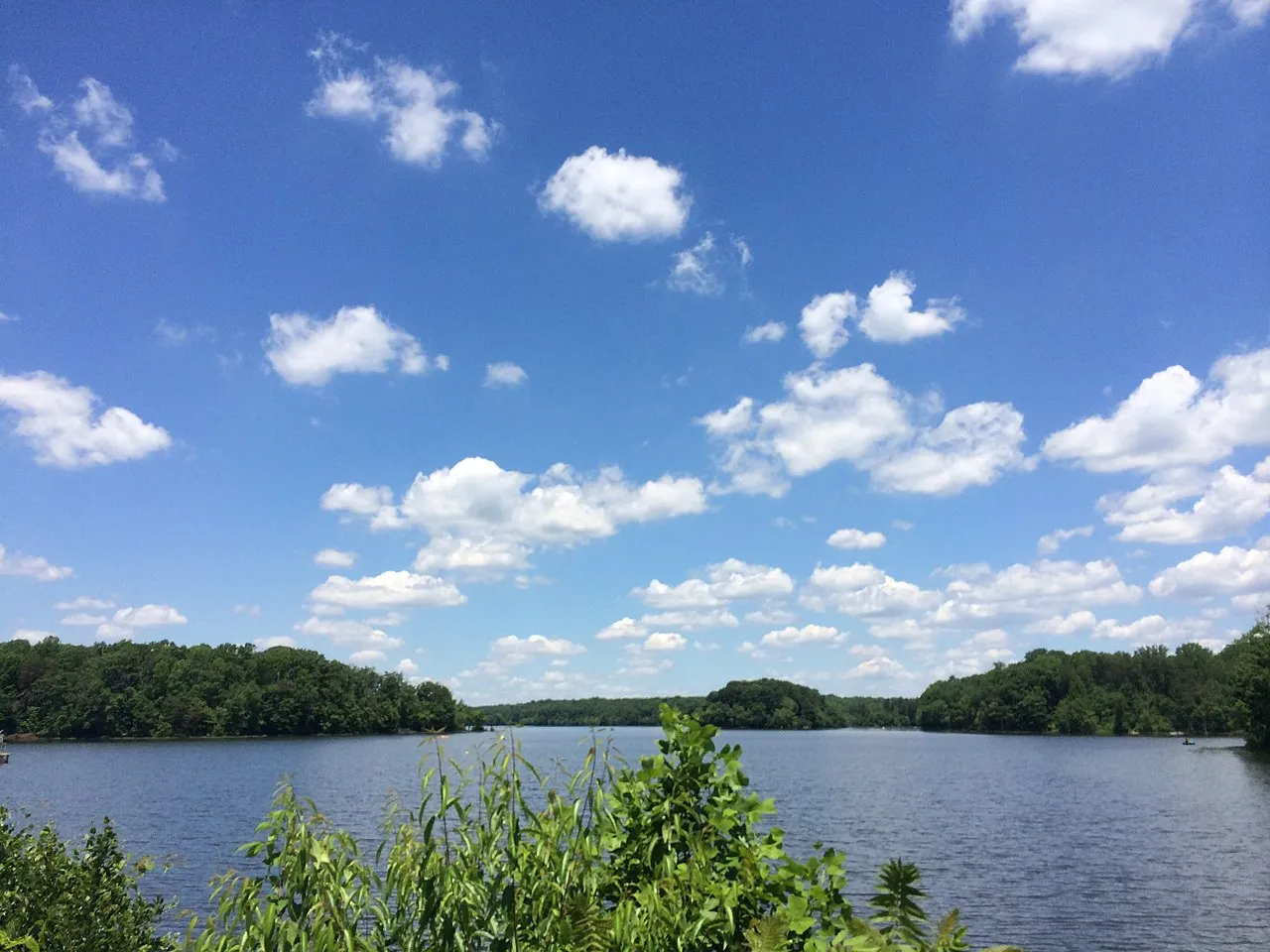 Burke Lake Park Campground