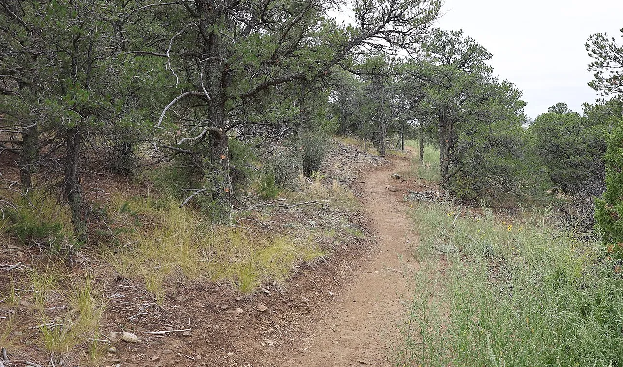 Lathrop Campground