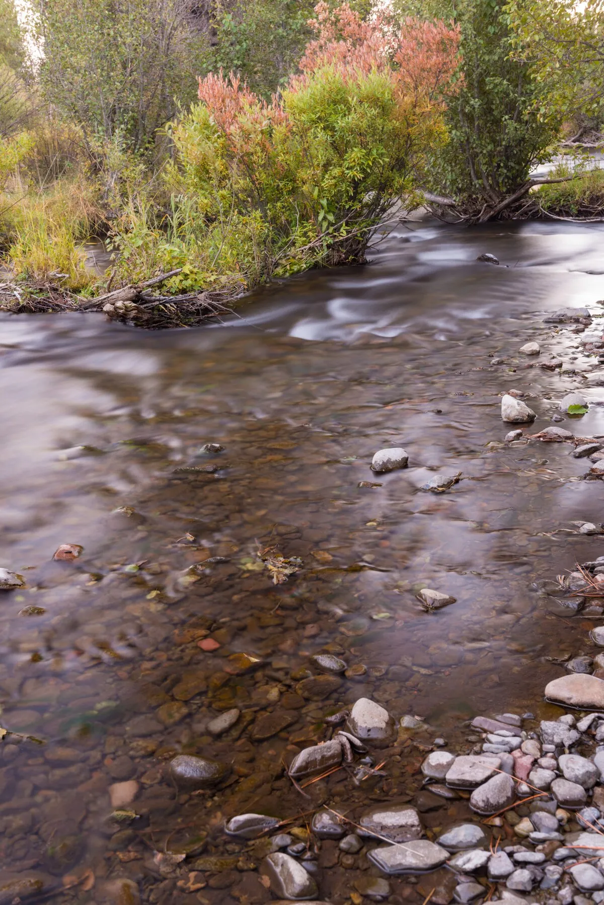 Big Creek Campground