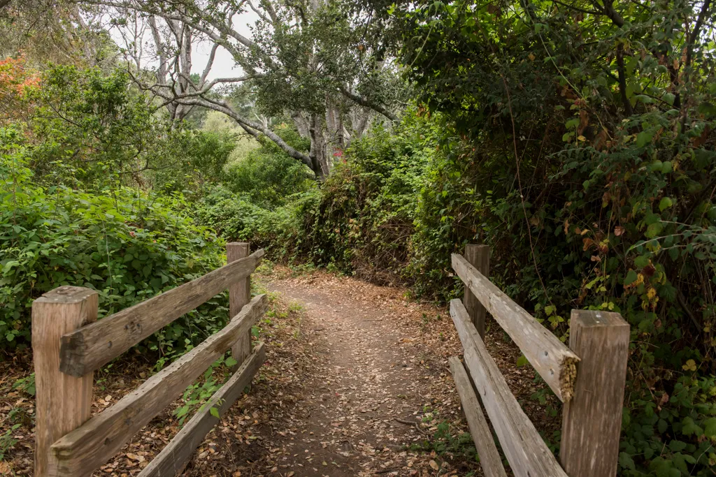 New Brighton State Beach Campground