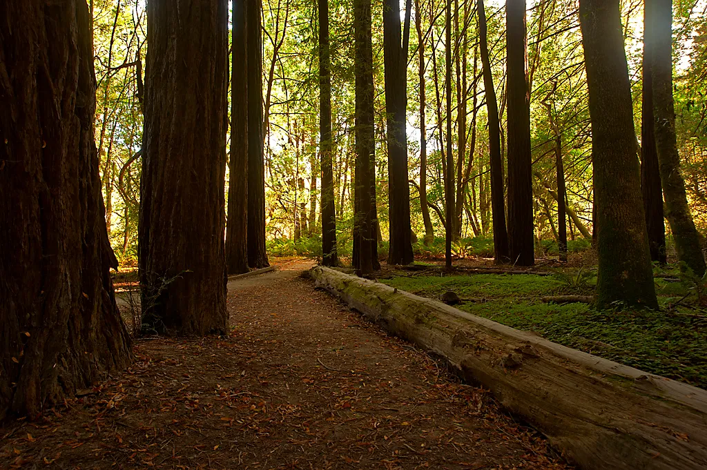 Azalea Campground