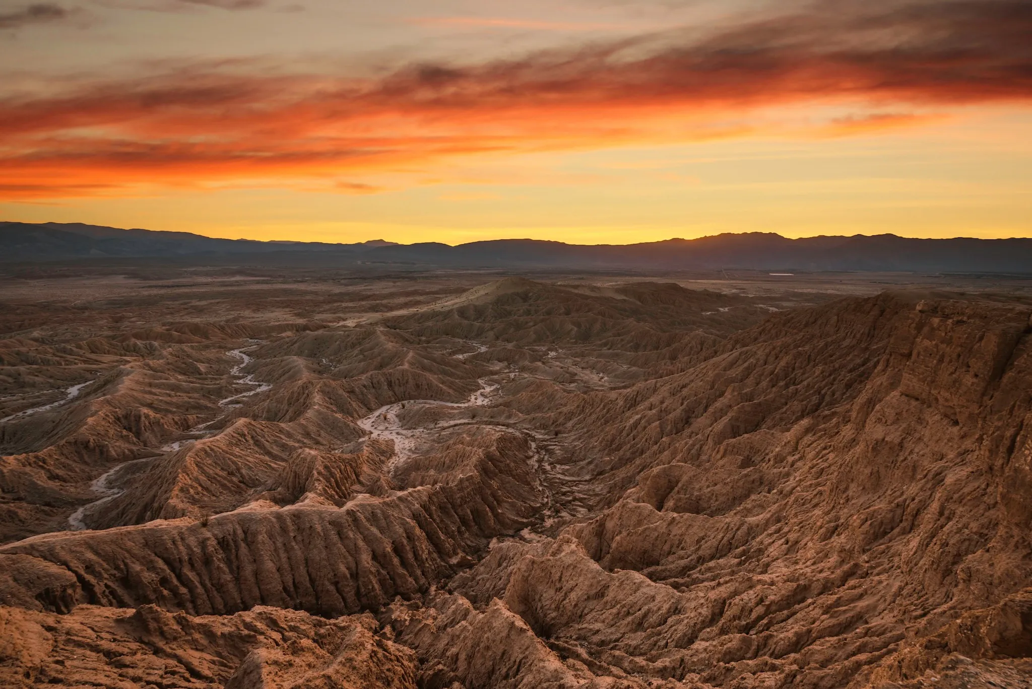 Borrego Palm Canyon Campground