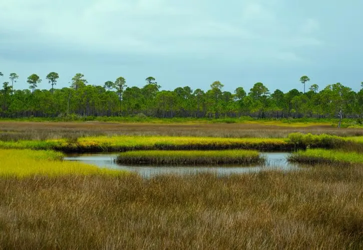 Bald Point State Park Campground