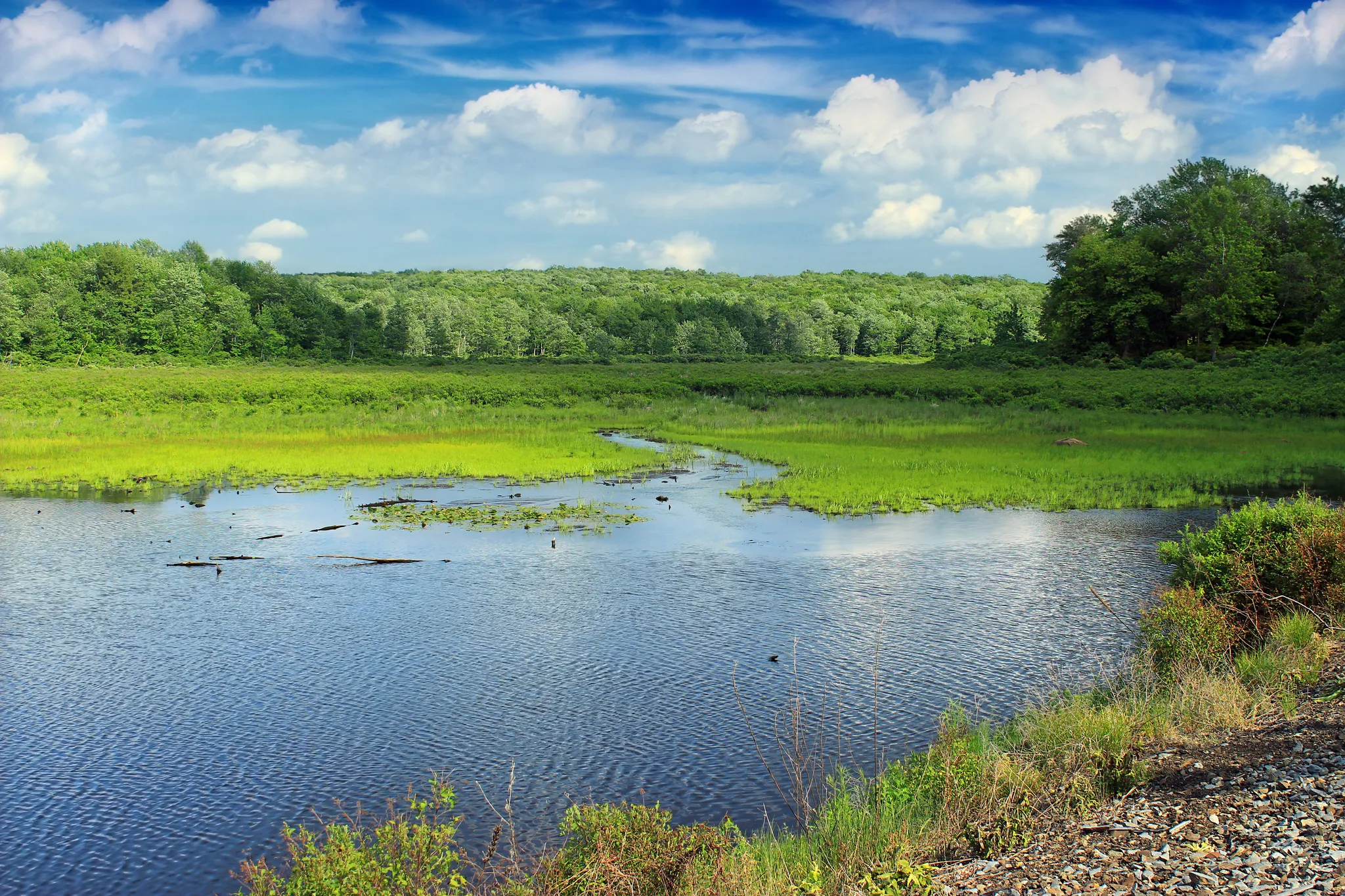 Tobyhanna State Park