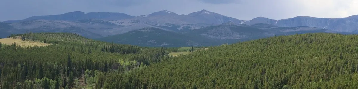 Ranger Creek Campground