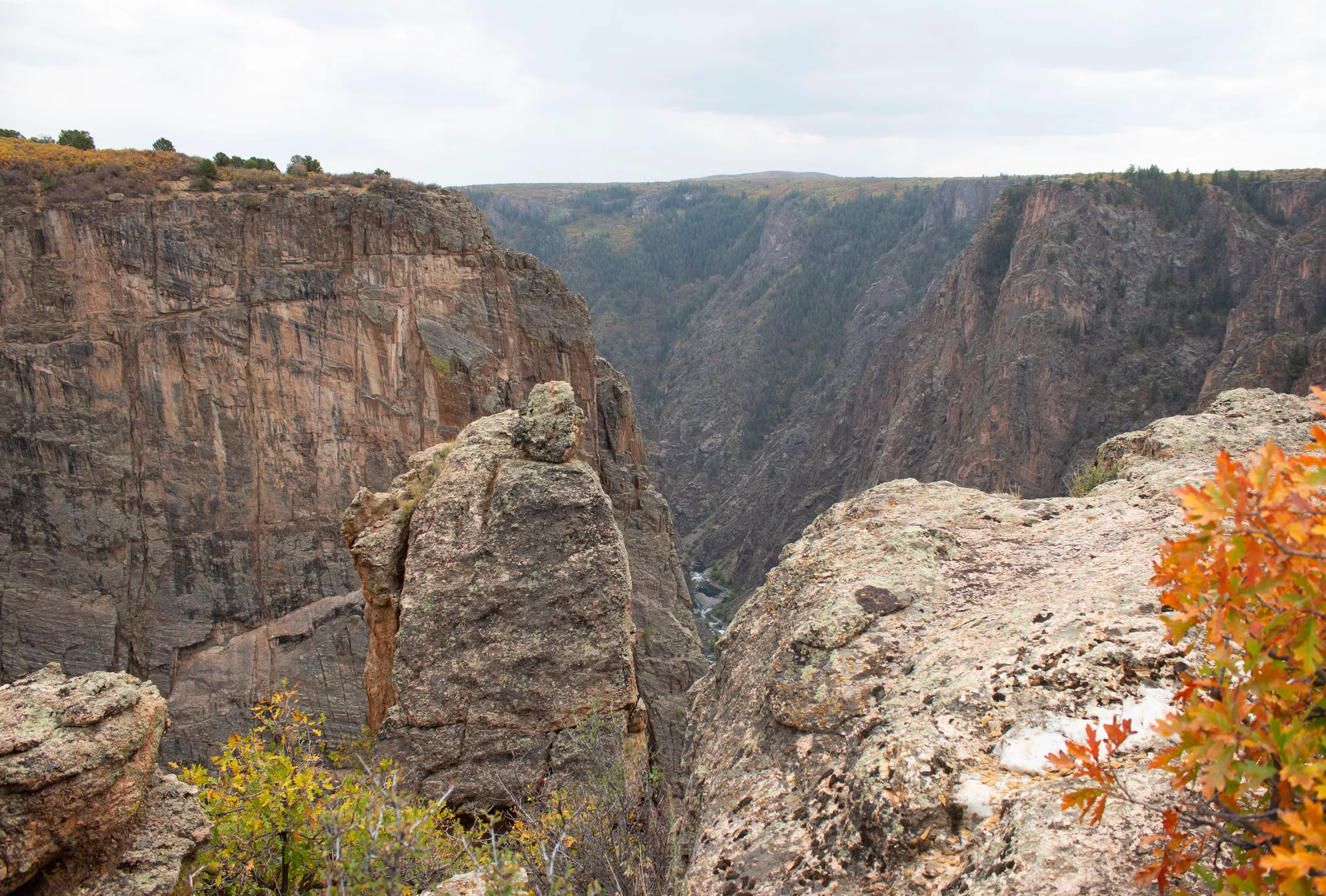 Black Canyon Of The Gunnison North Rim Campground