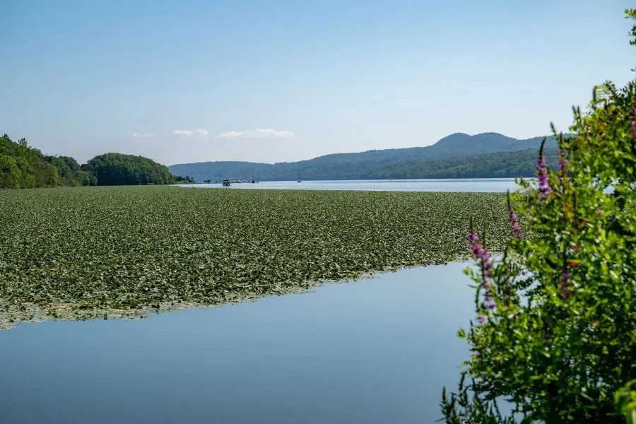 Mills-Norrie State Park