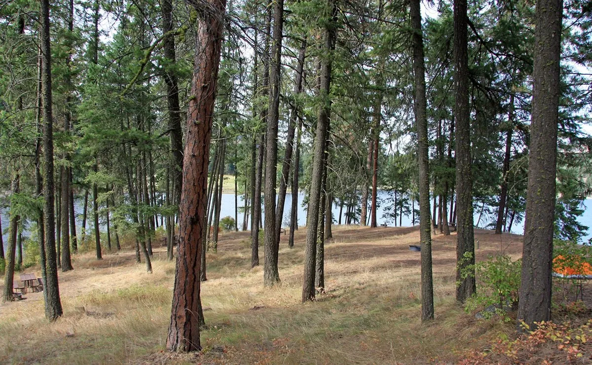 Kamloops Island Campground