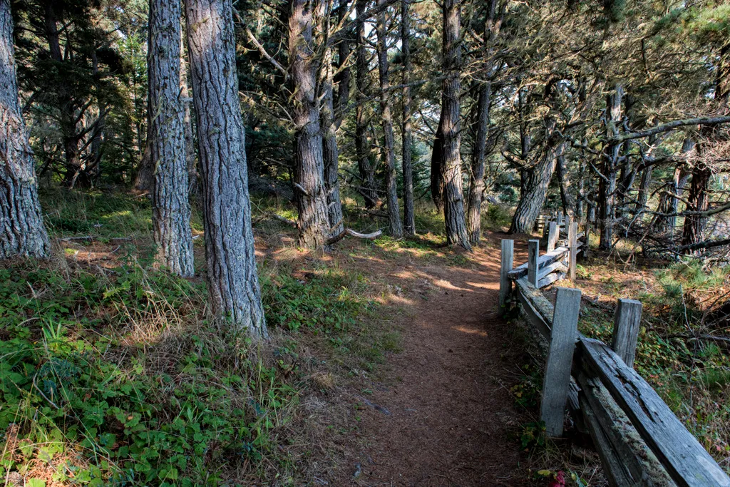 Russian Gulch State Park Campground