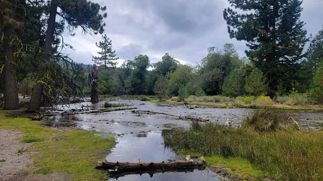 Lost Creek Group