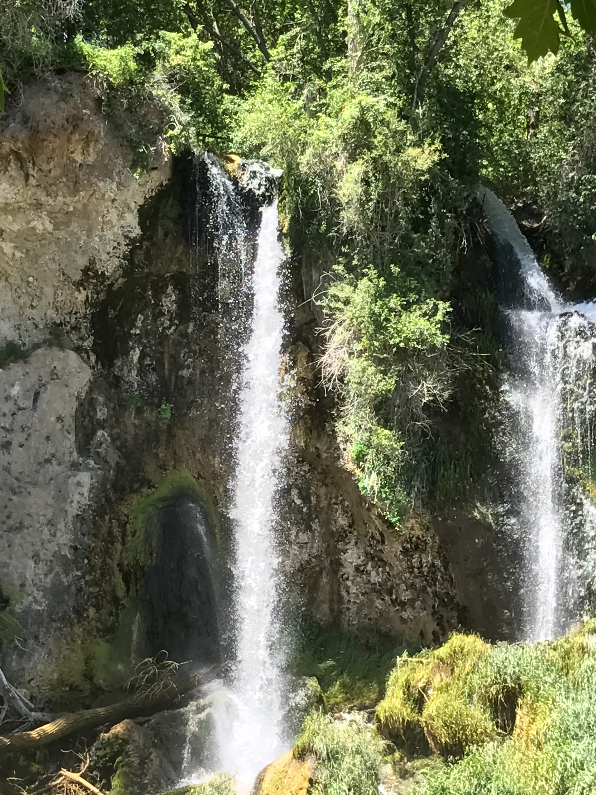 Rifle Falls Campground