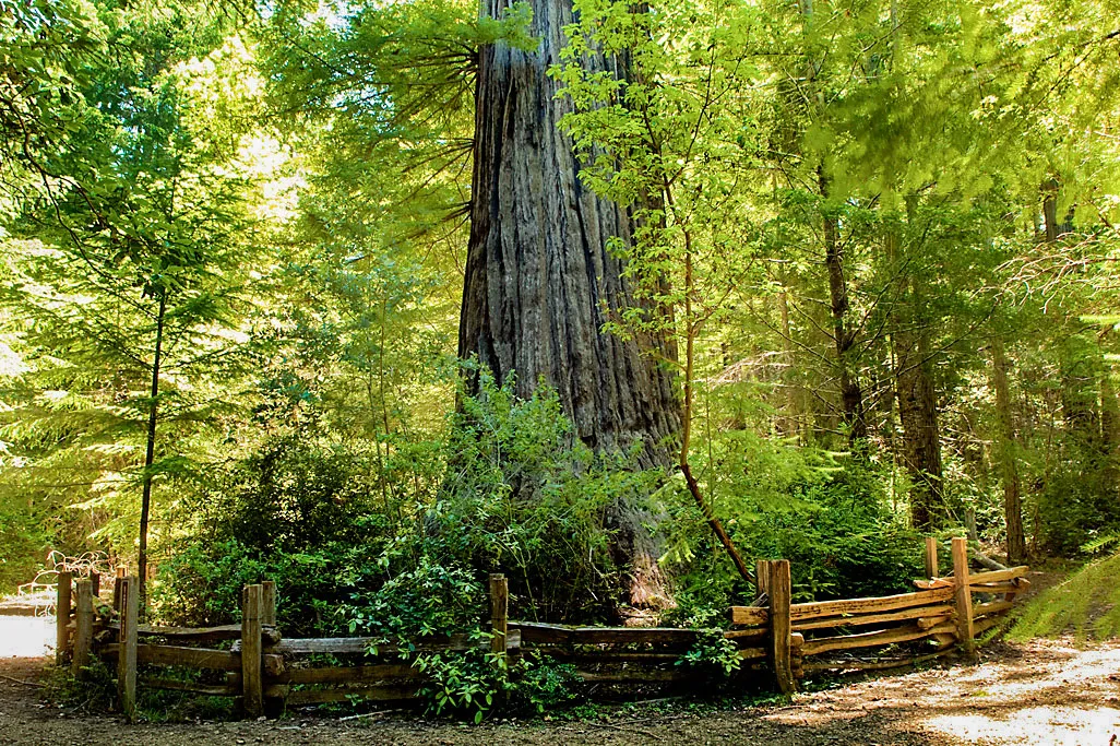 Standish-Hickey State Recreation Campground