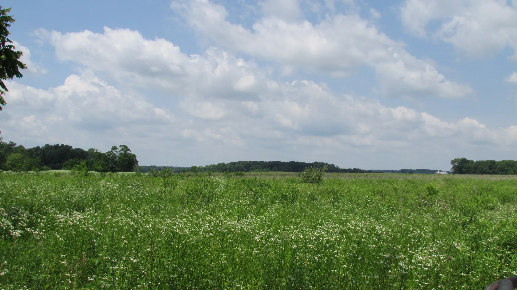 Prophetstown State Park