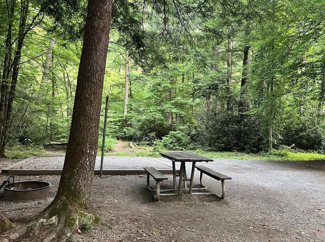 Cataloochee Group Camp