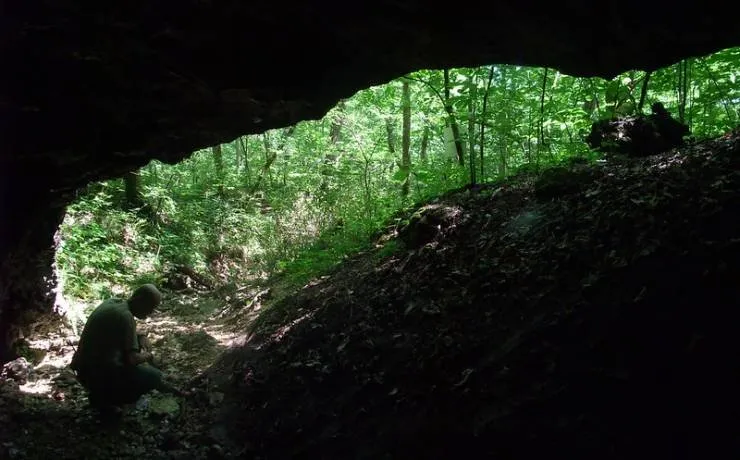 Section 1