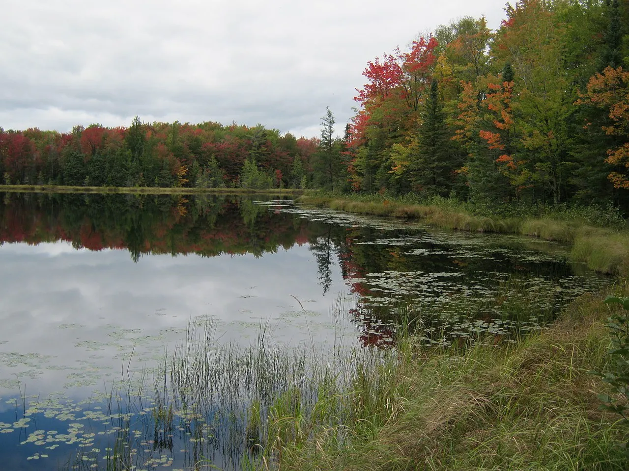 King Lake State Forest Campground