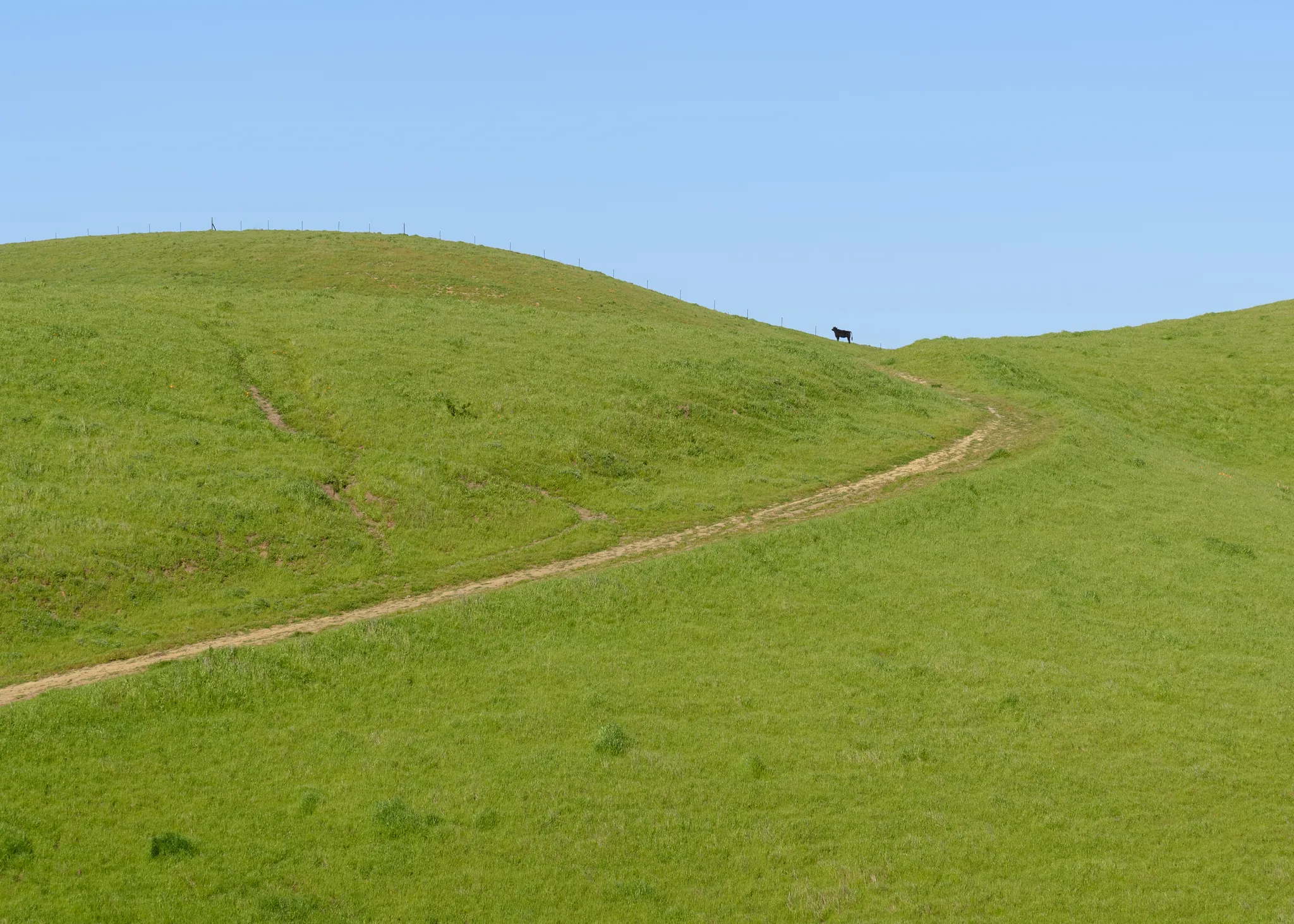 Briones Regional Park