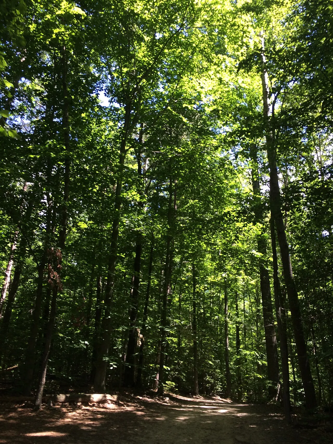 Burke Lake Park Campground