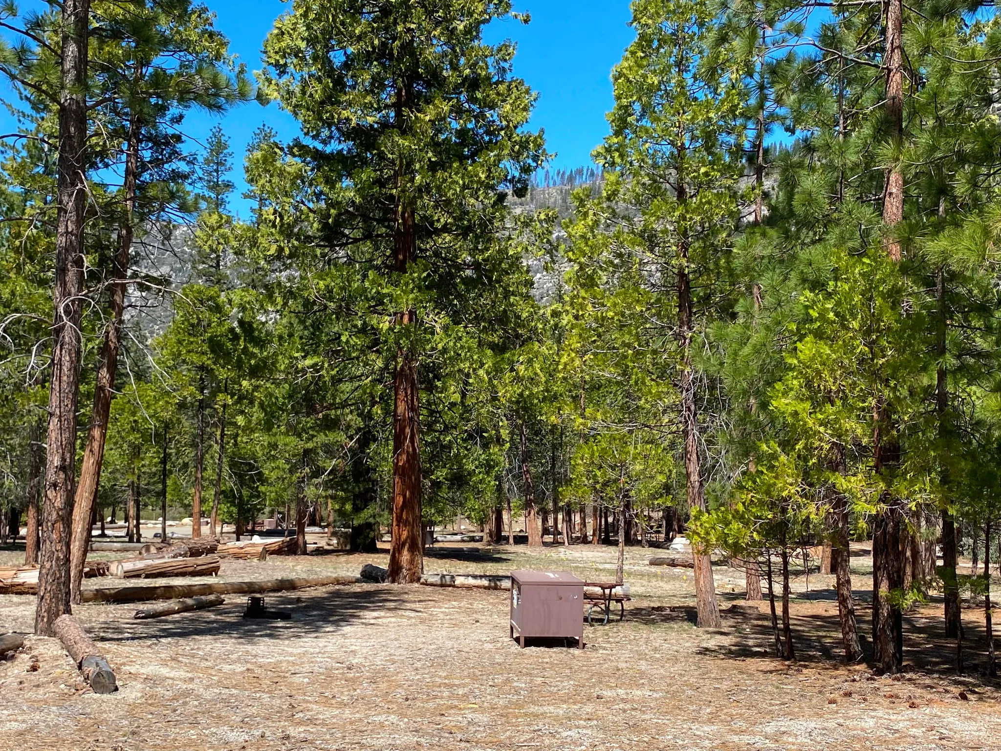 Moraine Campground (Ca)