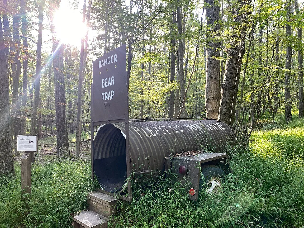 Deep Creek Lake State Park