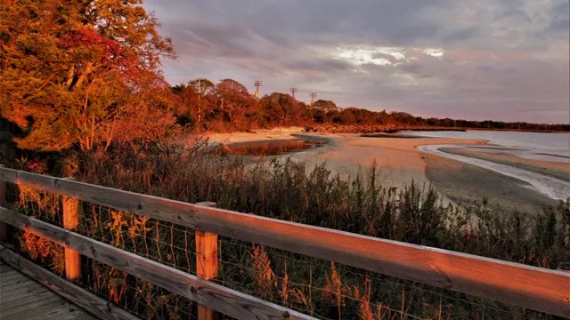Sandbank Stream