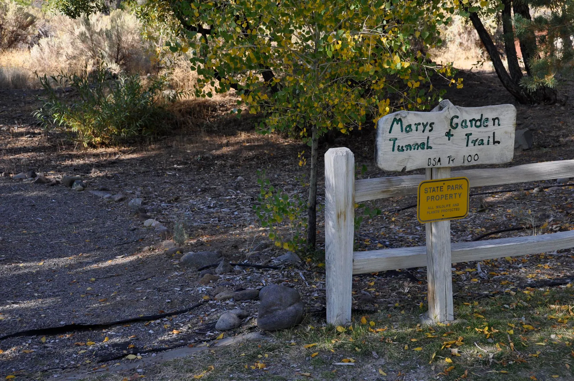 Dayton Campground