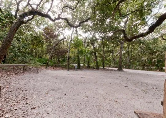 Anastasia State Park Campground 7
