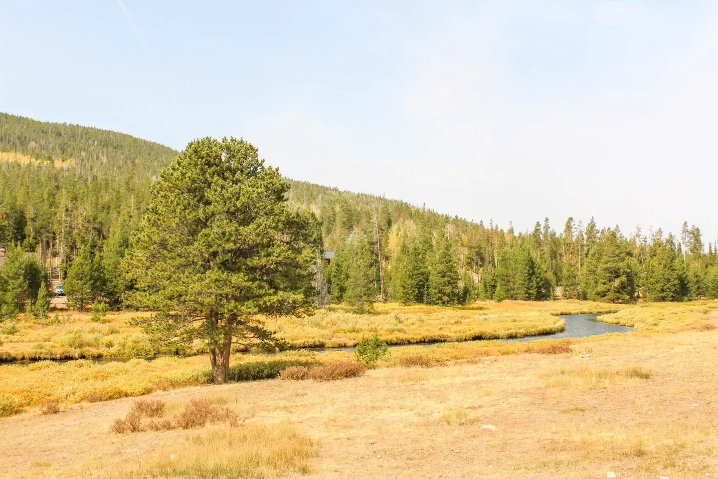 Wolverine Atv Trailhead/Campground