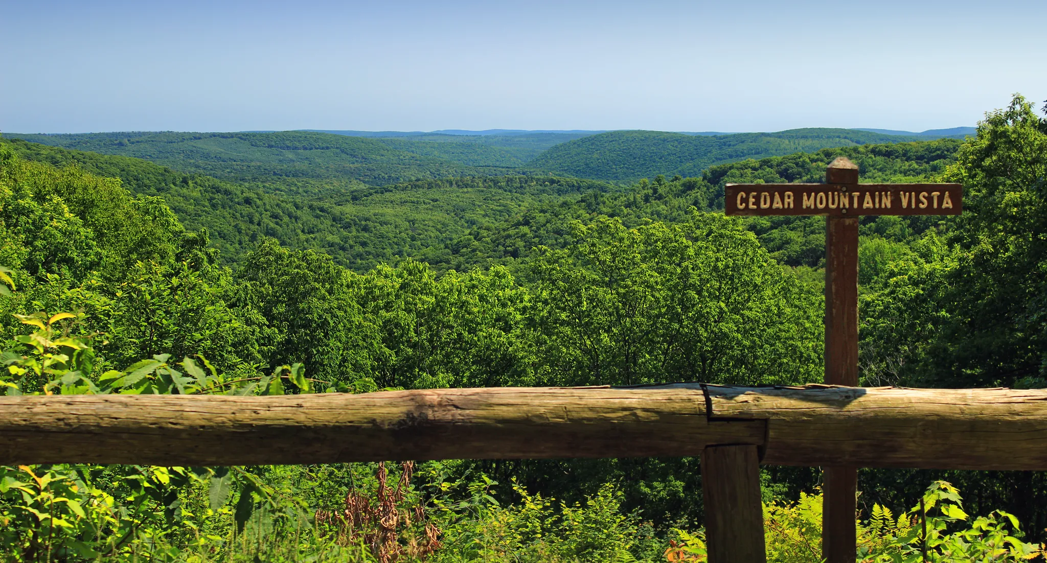 Tioga State Forest
