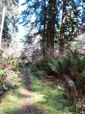 North Santiam State Recreation Area