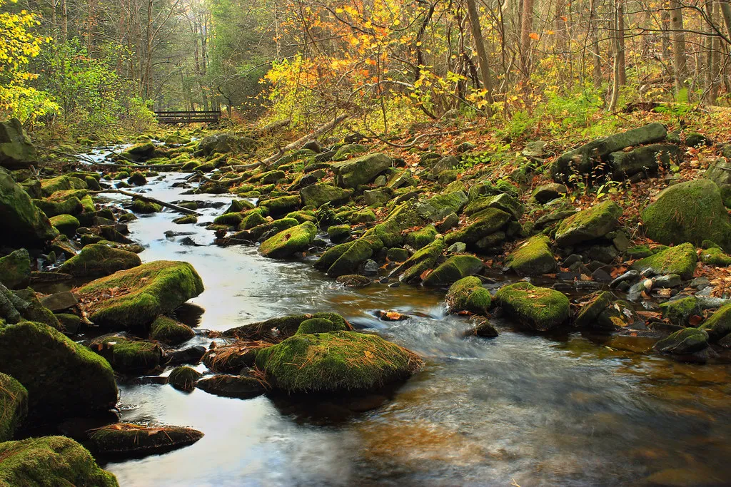 Ravensburg State Park
