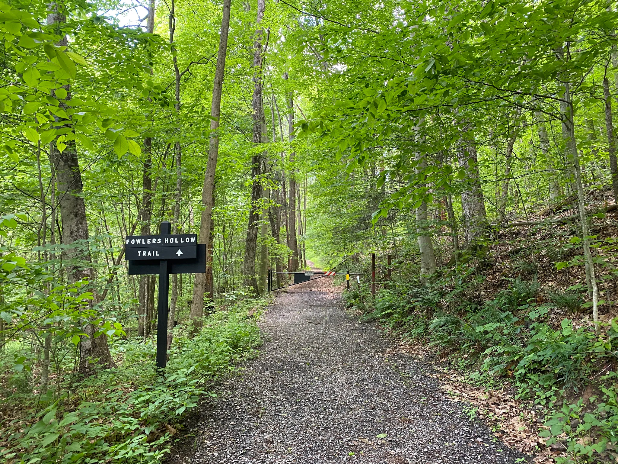 Fowlers Hollow State Park
