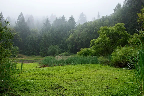 Mannings Flat 2 Campground
