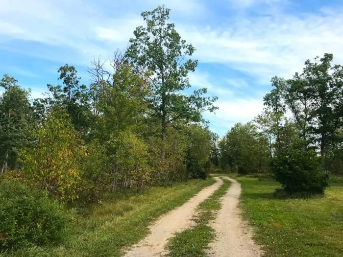 4 Mile Trail Camp