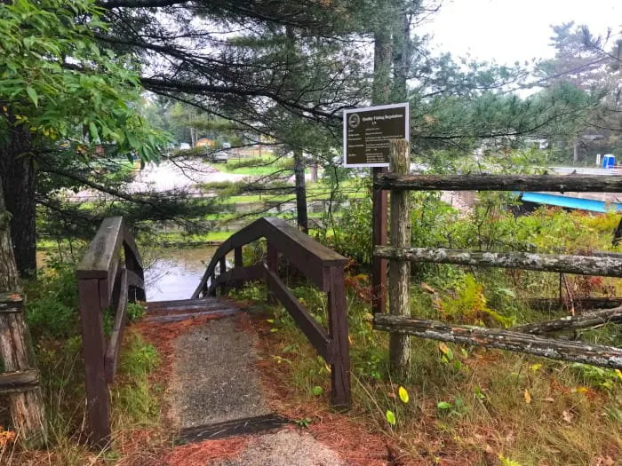Manistee River Bridge State Forest Campground