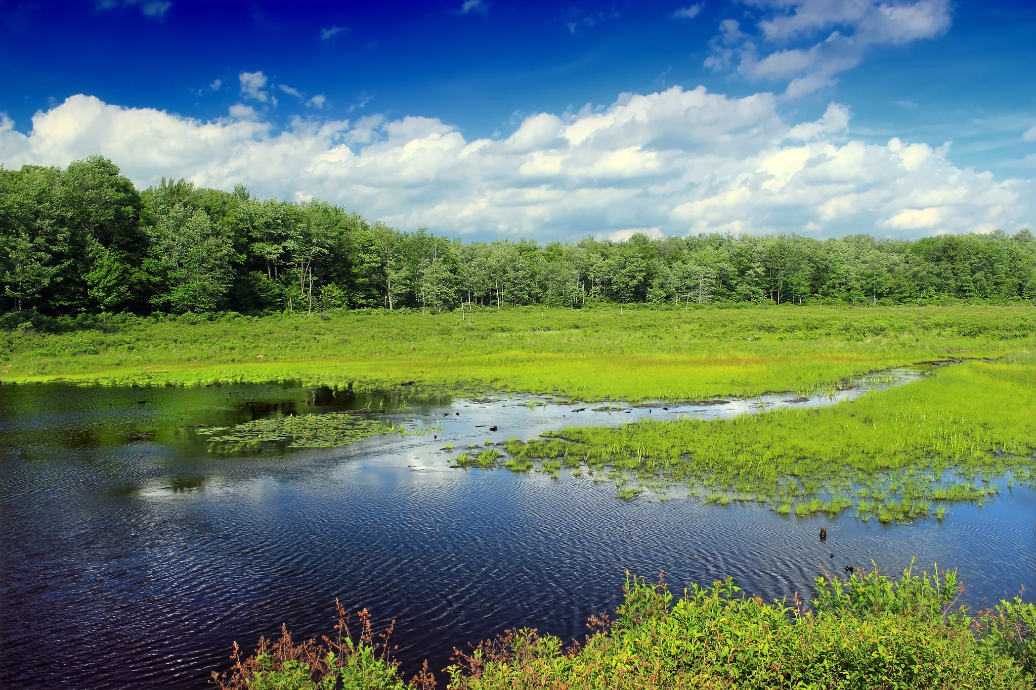 Tobyhanna State Park