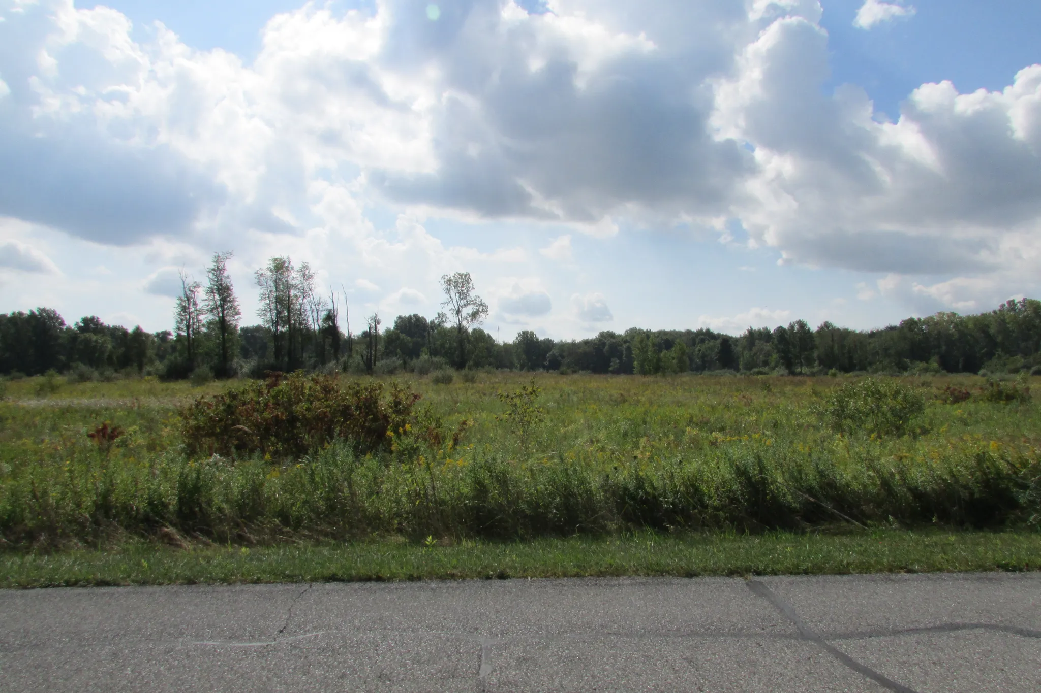 Potato Creek State Park