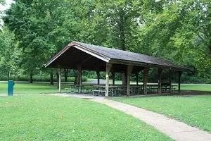 Section 1