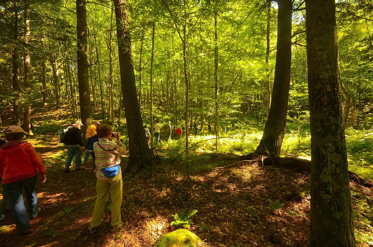 Northern Highland - American Legion State Forest