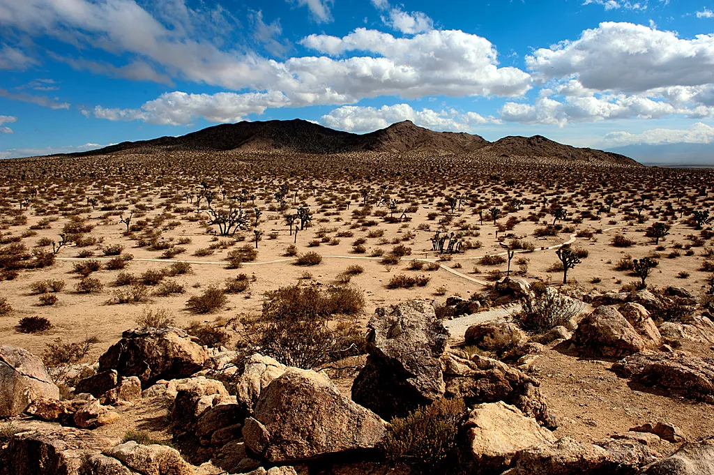 Saddleback Butte State Park Campground