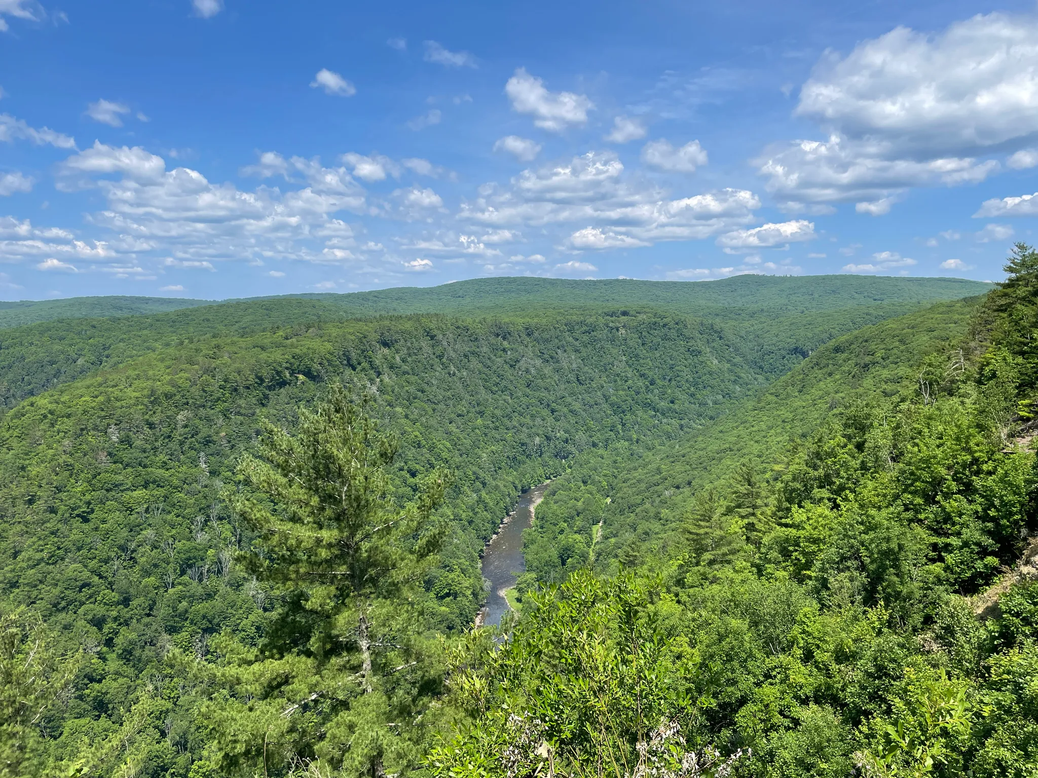 Leonard Harrison State Park