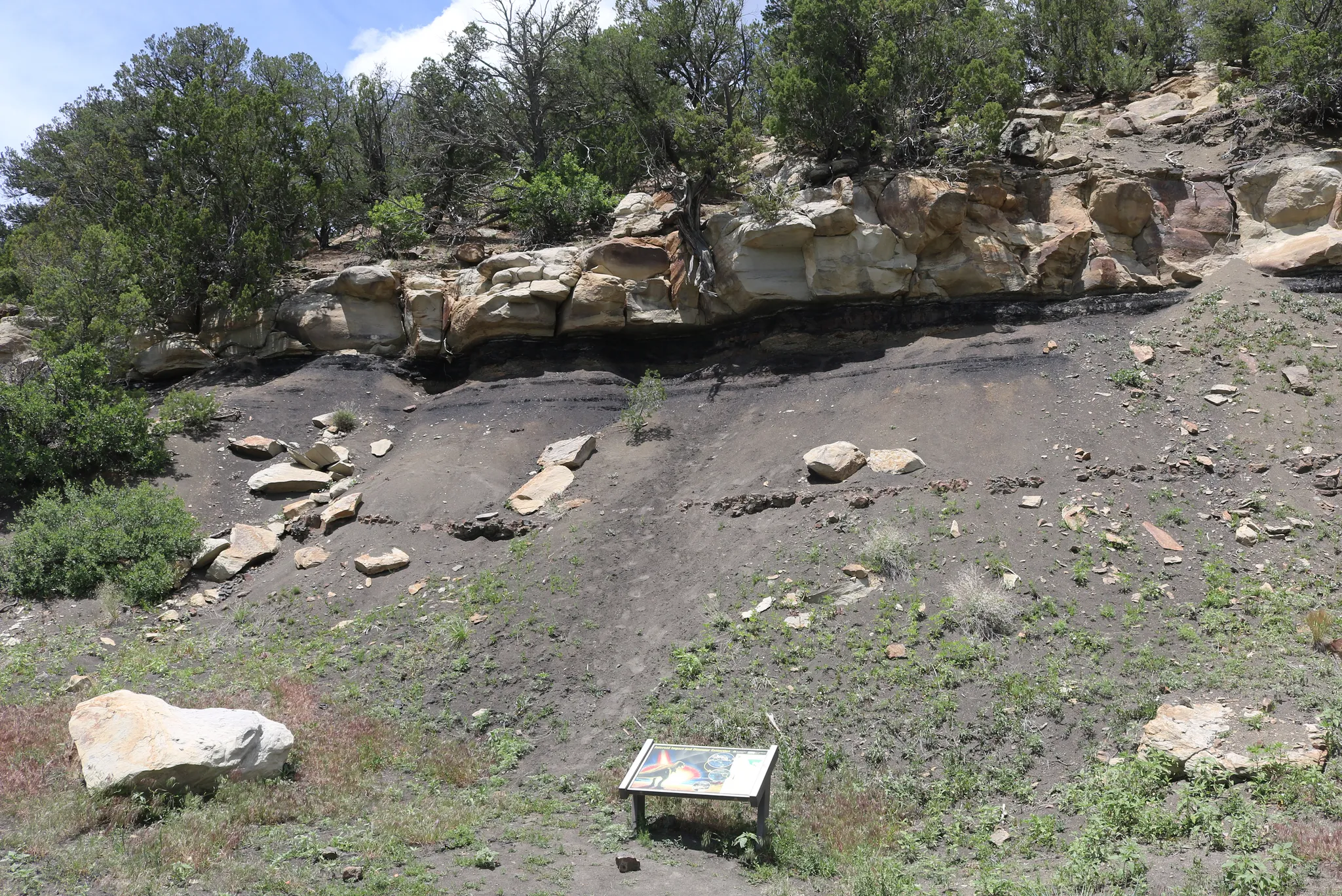 Trinidad Lake State Park