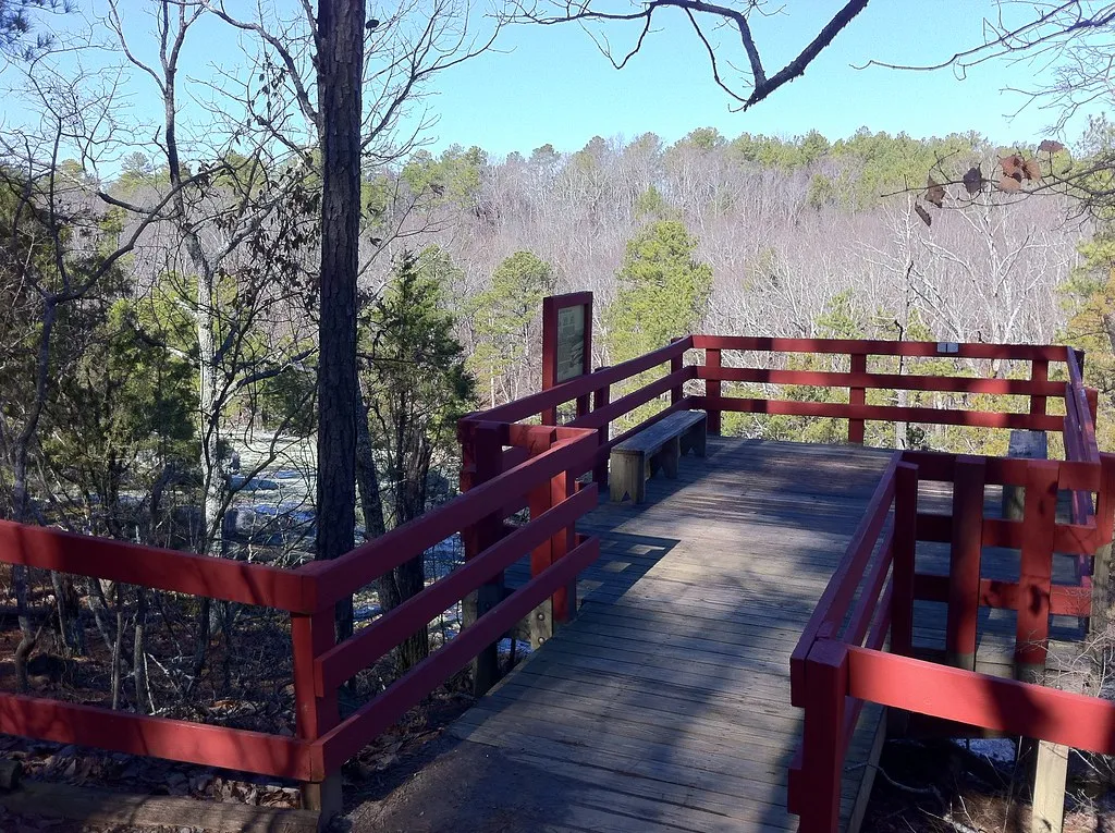 Panola Mountain State Park