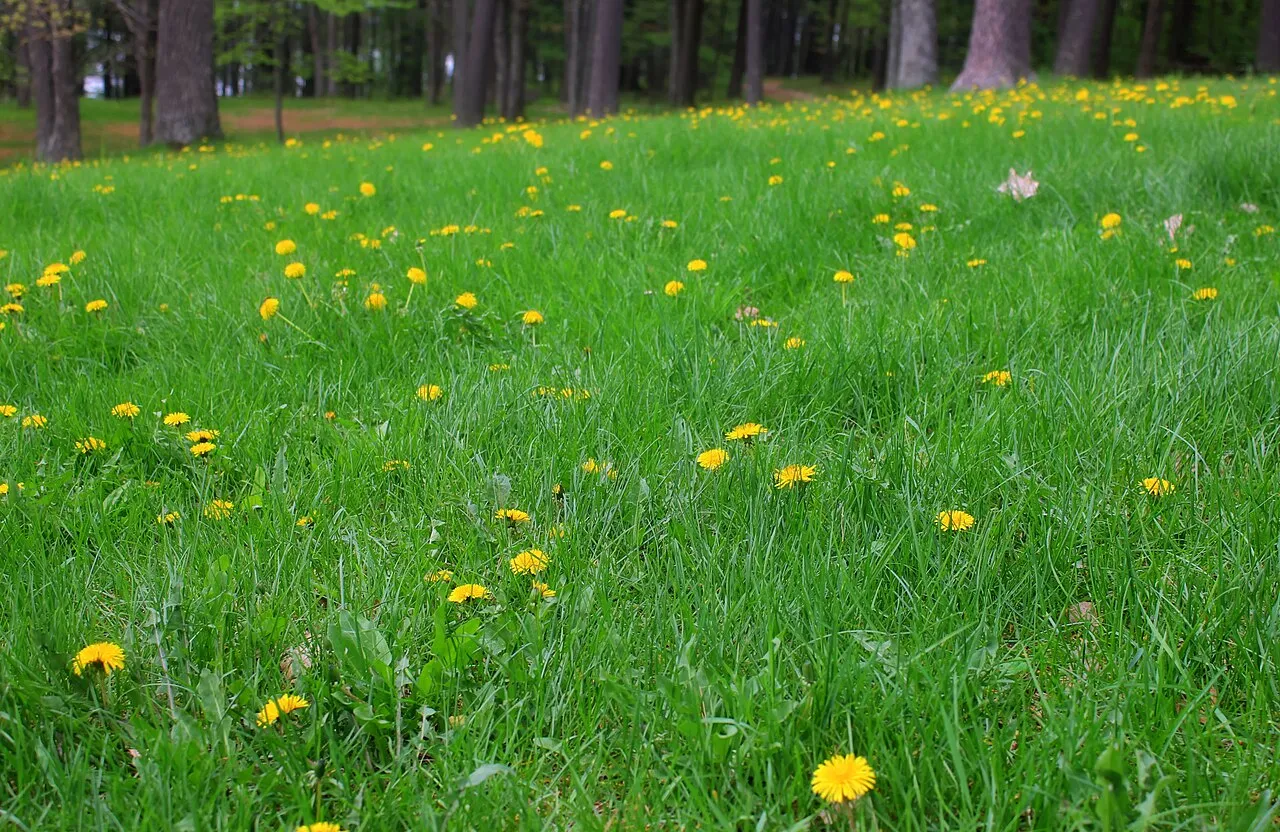 Council Grounds State Park
