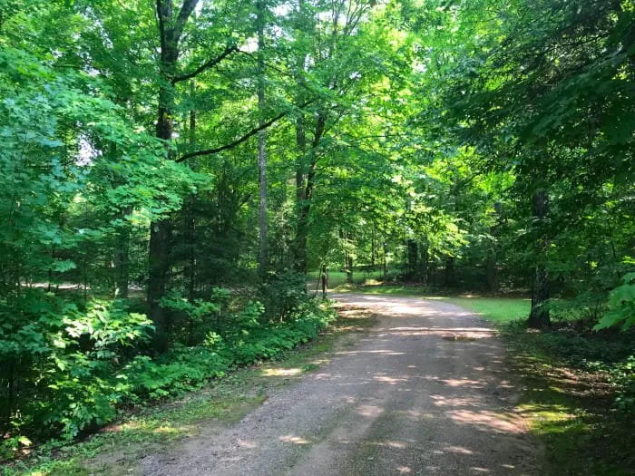 Gene's Pond State Forest Campground