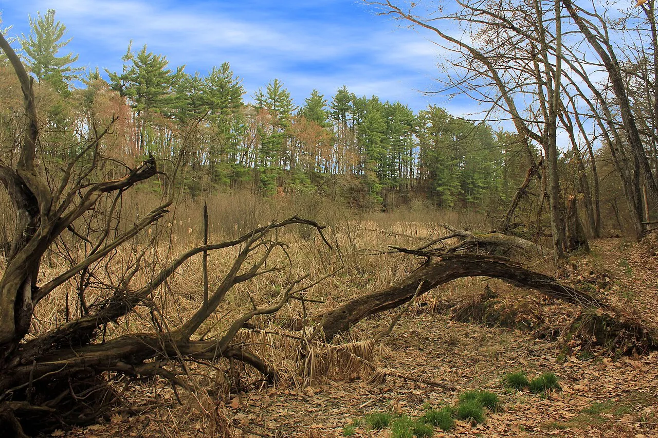 Rocky Arbor State Park