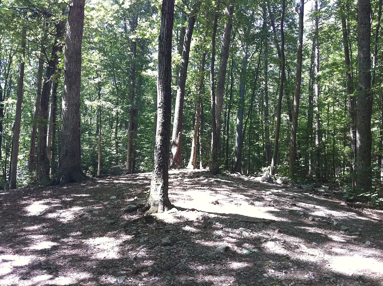 Burke Lake Park Campground